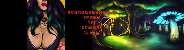 трава Алзамай