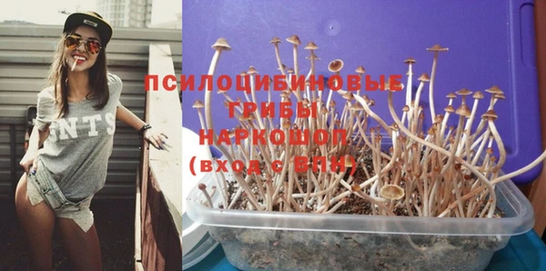 PSILOCYBIN Алексеевка