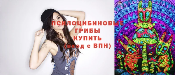 mix Алексин