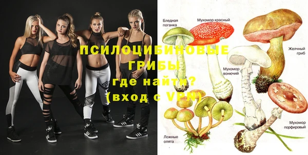 трава Алзамай