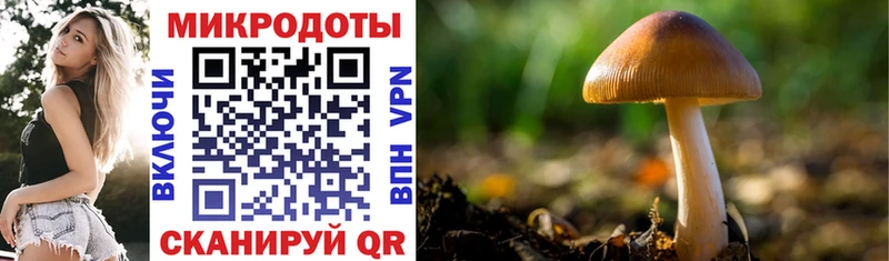 Псилоцибиновые грибы GOLDEN TEACHER  blacksprut ССЫЛКА  Оленегорск 